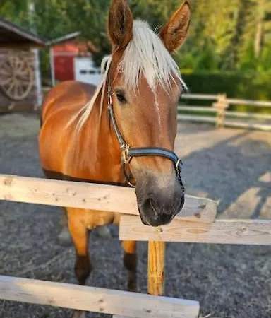 Luksusta Moekkeilyyn Soerkkae Metsamaa